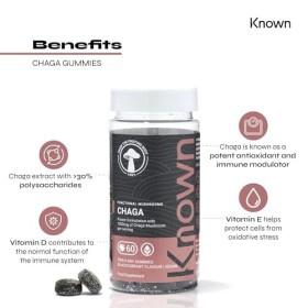 Bonbons délicieux au Chaga – 1000mg de champignon Chaga, vitamines D, E – Soutien immunitaire – Saveur cassis – 60 gummies vé