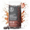 Bonbons énergétiques aux champignons – Vitamines B & Cordyceps – Énergie & Fatigue – Saveur fruits rouges – 60 gummies végane