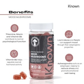 Bonbons Mood Mushrooms – Lion’s Mane, vitamines B – Santé cérébrale & équilibre hormonal – Saveur tarte aux pommes – 60 gummi