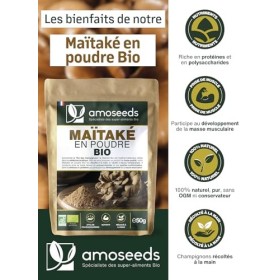 Maïtaké en poudre Bio 50G | Origine Europe | Roi des Champignons | 100% Naturel, Pur, Vegan | Qualité Supérieure