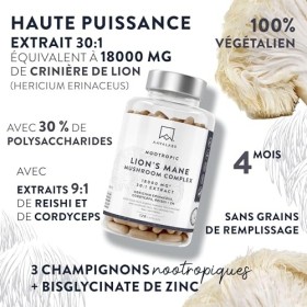 Lions Mane 18000mg 30:1 avec Cordyceps Sinensis, Reishi Ganoderma et Zinc | Criniere de Lion Champignon Hericium Erinaceus No