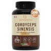 Bandini® Cordyceps Sinensis 6.500mg - 270 Gélules - Extrait de champignon vital CS-4 10:1 - Énergie & Performance Sportive 