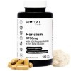 Hericium Erinaceus 9750 mg. 120 gélules végétaliennes pour 4 mois. Extrait de Crinière de Lion avec 50% Polysaccharides et 10