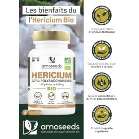 Hericium Erinaceus BIO | Champignon de la Mémoire | Hautement Dosé, 37% Polysaccharides | 120 gélules vegan | Lion’s Mane, Ve