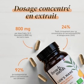 Criniere de Lion Champignon - 56 Gélules Vegan - Pour le Cerveau, Bien-Être, Stabilité Humeur - 1 à 2 Gélules/Jour - Lions Ma