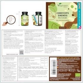 Cordyceps Sinensis BIO | Unique : Extrait Biologique 22:1 – 14300 mg de Poudre CS-4 | Adaptogène + Immunité | Sans Additifs