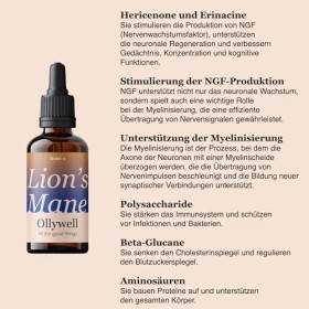 Ollywell Lions Mane Gouttes Naturelles - Booster Brain - 30ml - Concentration - Soutien du système nerveux - Mémoire