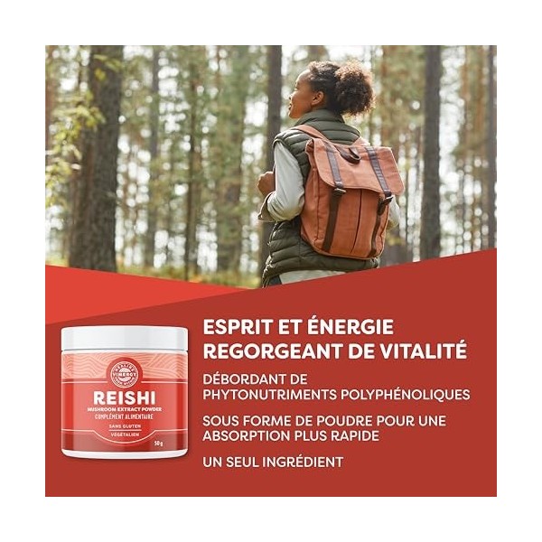 Vimergy Poudre de Champignon Reishi, 33 Portions – Extrait de Champignon Reishi Poudre –Végétalien – Formulé sans Agents Anti