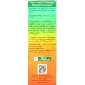Supplément de champignon Reishi / Notre extrait de champignon Reishi favorise la longévité / Teinture de champignon Reishi – 