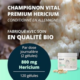 brandl® Bio Lions Mane Hericium Erinaceus avec 800 mg de poudre dHericium par dose | Lions Mane Mushroom Conditionné en Al