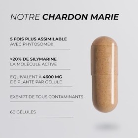 Chardon Marie Detox Foie - CUURE - 30 Jours - 5 Fois Plus Assimilable Avec Phytosome® - 20% de Silymarine - Regénération & Pr