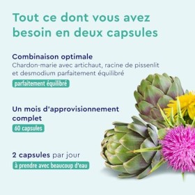 Complexe de Chardon Marie, Pissenlit, Artichaut et Desmodium, Detox Foie Puissant et Rapide, Fortement Dosé en Silymarine, Te