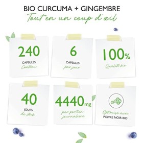 Curcuma & Gingembre Bio - 240 gélules - Hautement dosé avec 4440 mg par portion journalière - Avec Curcumine, Gingerol & Pipé