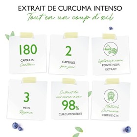 Curcuma - 180 gélules - Premium : avec 98% dextrait - la teneur en curcumine par portion journalière correspond à 17.150 mg 