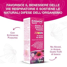 Echineacea Benefit No Alcohol Junior Extract, 50 ml