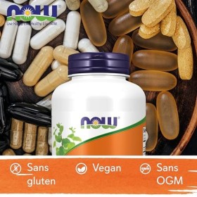 Now Foods, Echinacea, 400mg, 250 Capsules végétaliennes, Testé en Laboratoire, Sans Gluten, Sans Soja, Végétarien, Sans OGM
