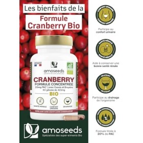 Cranberry BIO | 5% PAC, Extrait Haute Concentration | Confort Urinaire, Reins, Vessie | Formule avec Cassis et Bruyère Bio | 