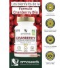 Cranberry BIO | 5% PAC, Extrait Haute Concentration | Confort Urinaire, Reins, Vessie | Formule avec Cassis et Bruyère Bio | 
