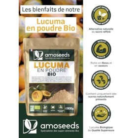 Lucuma en poudre BIO 500G | Sucrant Naturel, Sans sucre ajoutés | 100% Naturel et Pur | Alternative au sucre | Sans OGM, sans