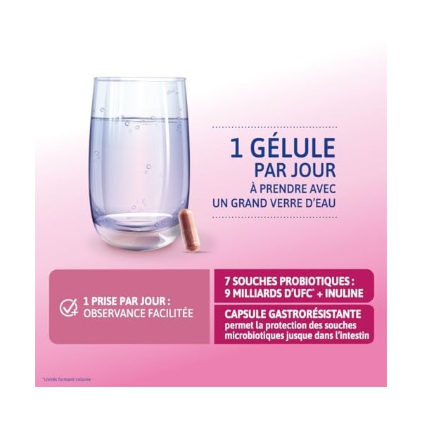 Alvityl Cys Balance 36 – Probiotiques - Cranberry 36 mg de PAC ProAnthoCyanidines - Complexe de 7 souches probiotiques : 9 