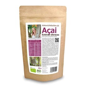 Poudre dacai bio poudre daçai de qualité biologique certifiée DE-ÖKO-022 – Superfood bio 1 x 100 g 