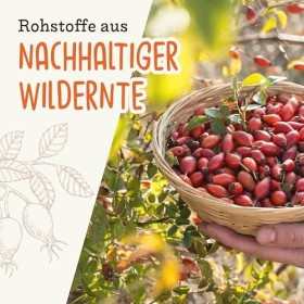 Poudre de cynorrhodon Kern-Plus Bio | dreikraut | avec 35 % de noyau | issu de la collection sauvage européenne | 100 % natur