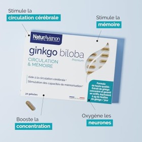 Laboratoire NaturAvignon Ginkgo Biloba | Complément Alimentaire Booster Mémoire, Concentration & Circulation Sanguine | For