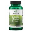 Swanson Ginkgo Biloba Extract, 120mg, 100 capsules végétaliennes, Sans Soja, Végétarien, Sans Gluten, Sans OGM