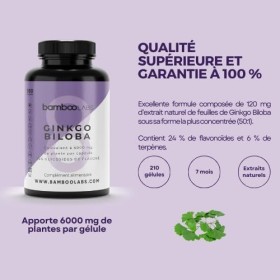 Bamboo Labs - Ginkgo Biloba 6000 mg, 100% Naturel avec 24% de Flavonoïdes et 6% de Terpènes, 180 gélules, Puissant Aantioxyda