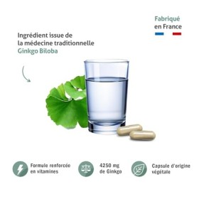 BLANCHE BRESSON - Phyto Ginkgo Biloba - Vitamine B5 - Circulation Cérébrale & Mémoire - Concentration - 4250 mg de Ginkgo/Gél