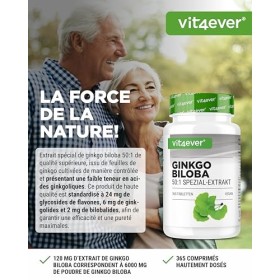 Ginkgo Biloba 6000 mg - 365 Comprimés - Premium : Avec glycosides de flavone + ginkgolide terpène lactones & acide ginkgoliqu