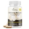 Complexe de capsules de supplément de champignons Lions Mane - Supplément sans caféine, extrait de crinière de lion - 120 cap