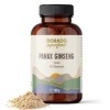 Poudre de racine de ginseng Panax à partir dextrait | 100 g - avec cuillère doseuse, 10% ginsénosides - approvisionnement 50