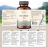 Poudre de racine de ginseng Panax à partir dextrait | 100 g - avec cuillère doseuse, 10% ginsénosides - approvisionnement 50