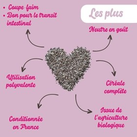 Graines de Chia Bio 1KG | Vegan | Conditionné en France | Cuisine | Desserts | Pâtisserie | Neutre en goût | Sans OGM | BASE 