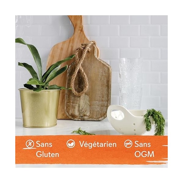 Now Foods, Kidney Cleanse, avec Raisin dOurs et Ortie, 90 Capsules végétaliennes, Testé en Laboratoire, Sans Soja, Végétarie