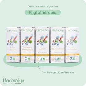 Herbiolys | Extrait De Plantes Fraîches Bio | Petite Pervenche Vinca minor | Mémoire & Troubles ORL | Phytothérapie Bio | 5