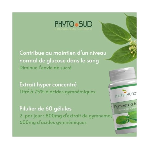 Phyto Sud Gymnema Extra - Extrait de Gymnema Sylvestre à 75% Acides Gymnemiques - Complément Alimentaire Pour Une Glycemie No