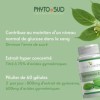 Phyto Sud Gymnema Extra - Extrait de Gymnema Sylvestre à 75% Acides Gymnemiques - Complément Alimentaire Pour Une Glycemie No