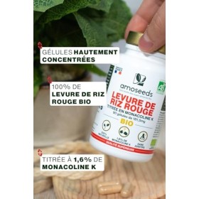 Levure de Riz Rouge BIO | 2,9mg de Monacoline K par gélule | 181,50mg | 90 gélules Vegan | Fabriquée en France | Qualité Supé