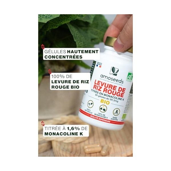 Levure de Riz Rouge BIO | 2,9mg de Monacoline K par gélule | 181,50mg | 90 gélules Vegan | Fabriquée en France | Qualité Supé