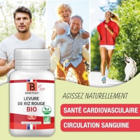 LEVURE DE RIZ ROUGE BIO | Monacoline K | VEGAN | 90 Gelules de 250 mg | Complement alimentaire | Certifie BIO par ECOCERT | F