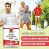 LEVURE DE RIZ ROUGE BIO | Monacoline K | VEGAN | 90 Gelules de 250 mg | Complement alimentaire | Certifie BIO par ECOCERT | F