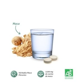 BLANCHE BRESSON - Phyto Maca Bio - Energie & Vitalité - Boost Performance Physique & Résistance, Soutient Sommeil, Stress - R