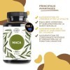 Maca andine | Racine de maca péruvienne 100% pure et naturelle. 120 Gélules BIO. Sans additifs. Augmentation de l’énergie, de