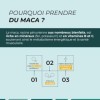 Maca Jaune - CUURE - Racine Naturel du Pérou - Perfomances Physiques et Sportives - Fertilité - Régulateur Hormonal - 60 Jour