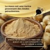 AG nature Maca péruvienne noire extra forte 8050 mg 120 gélules - Complexe à haute dose dAshwagandha, Ginseng, Tribulus Terr
