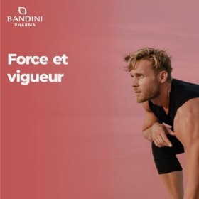 Bandini® MACA POWER 240 Gélules - Maca noire enrichi avec Arginine Kyowa® + Tribulus + Vitamine C + Zinc + B6 + B12 + Séléniu