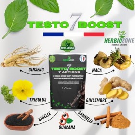 Testo 7 Boost | Performances Masculine | FormuleTestostérone | Endurance | Vigueur | Tribulus | Ginseng| Maca | Guarana | Gin