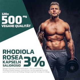 Strong Natural Rhodiola Rosea 3% Salidroside 120 Capsules 500mg Qualité Vegan